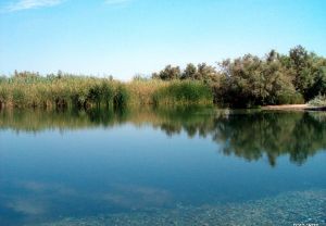 עינות צוקים (עין פשחה) וקומראן